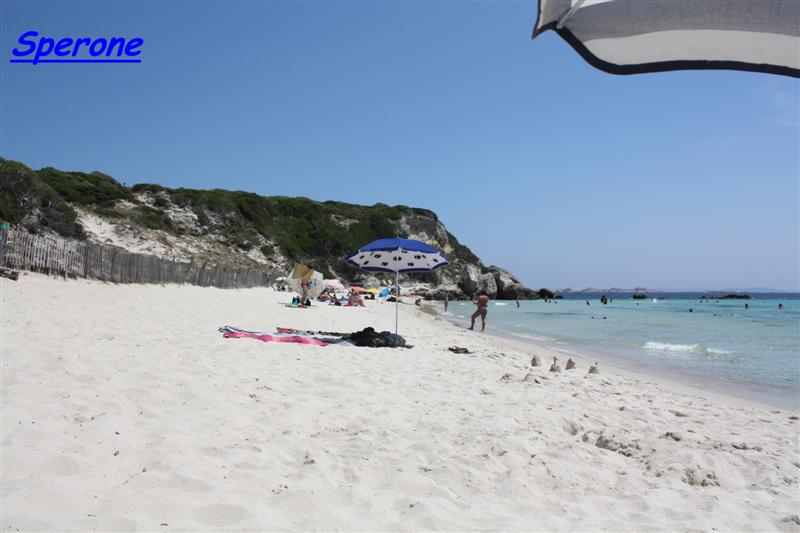 sperone (1) (Medium).jpg