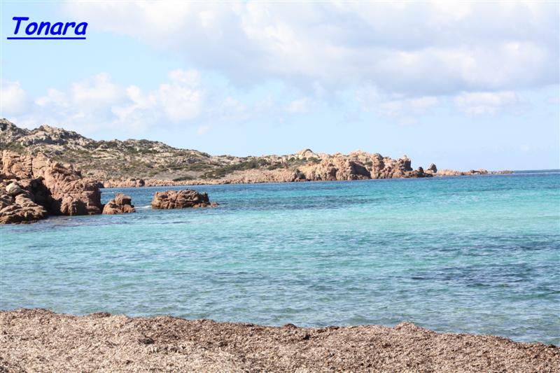 tonara (3) (Medium).jpg