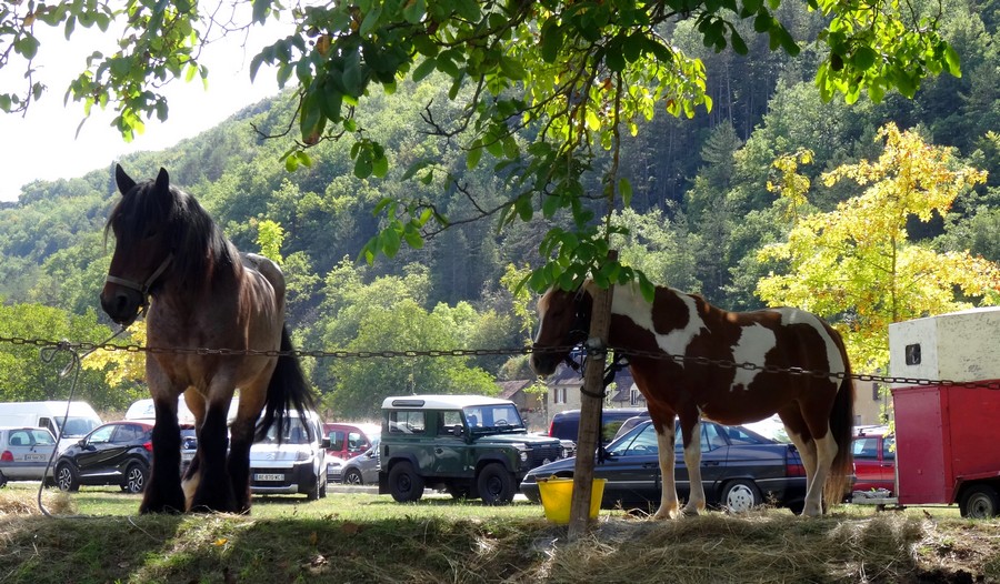 A la foire de CASTELNAUD.JPG