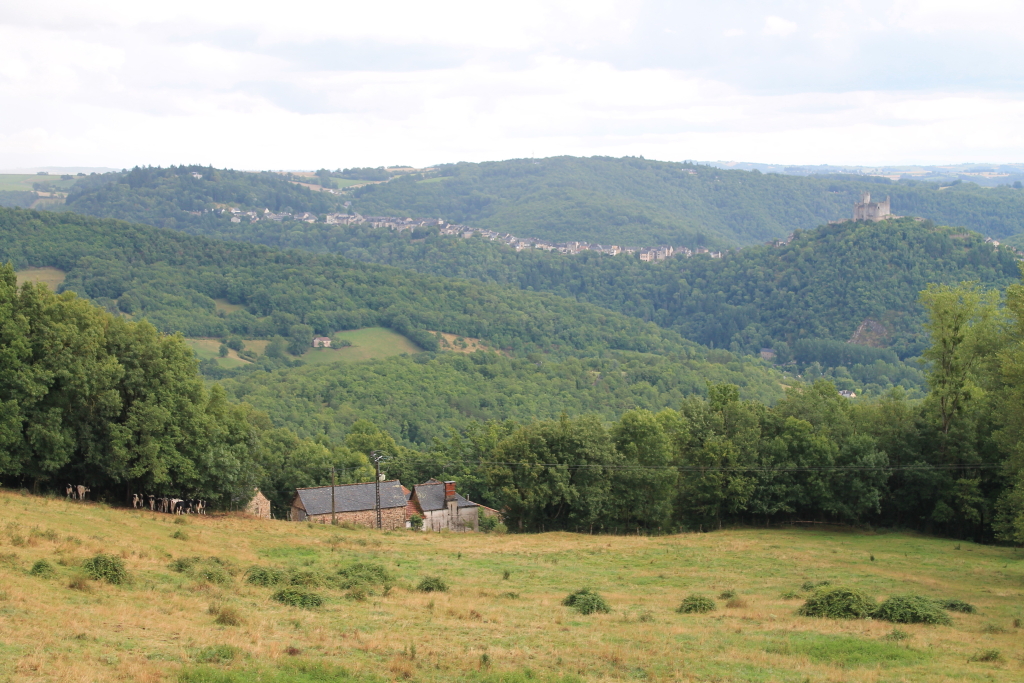 IMG_3741 village et chateau de Najac.JPG