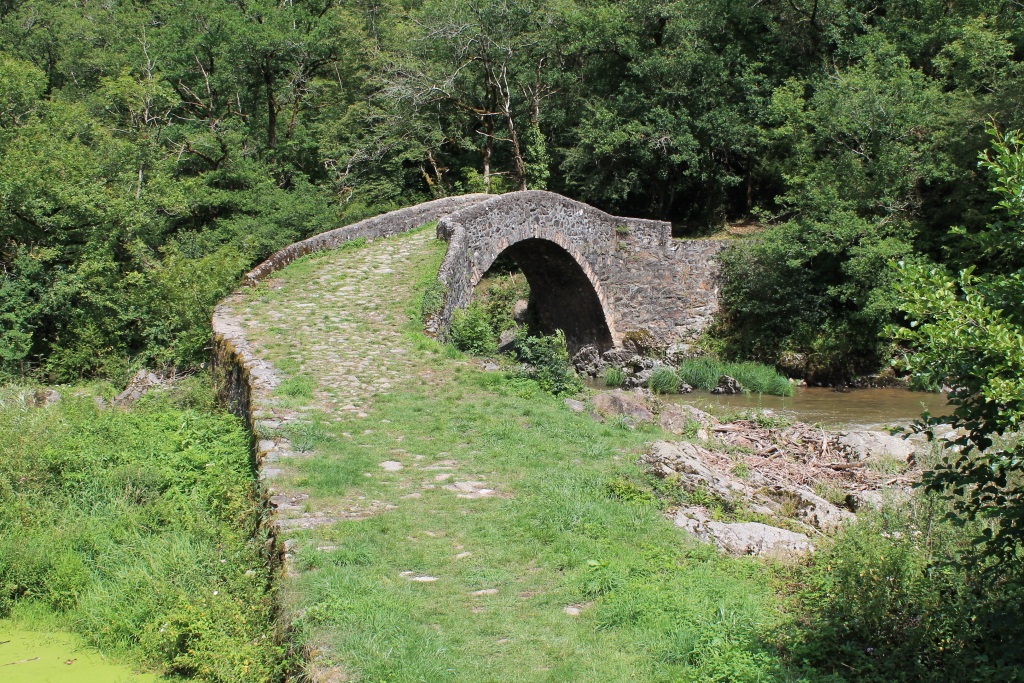 IMG_3772 Le pont du Cayla (gallo romain) sur l'Aveyron.JPG