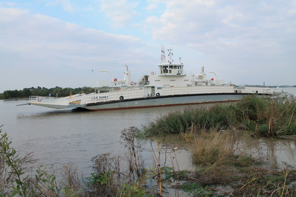 DPP_0001.JPG