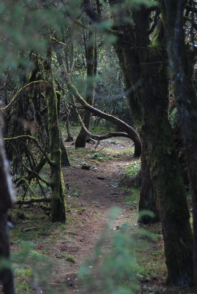 DSC_5869.JPG