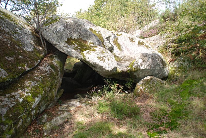 DSC_5934.JPG