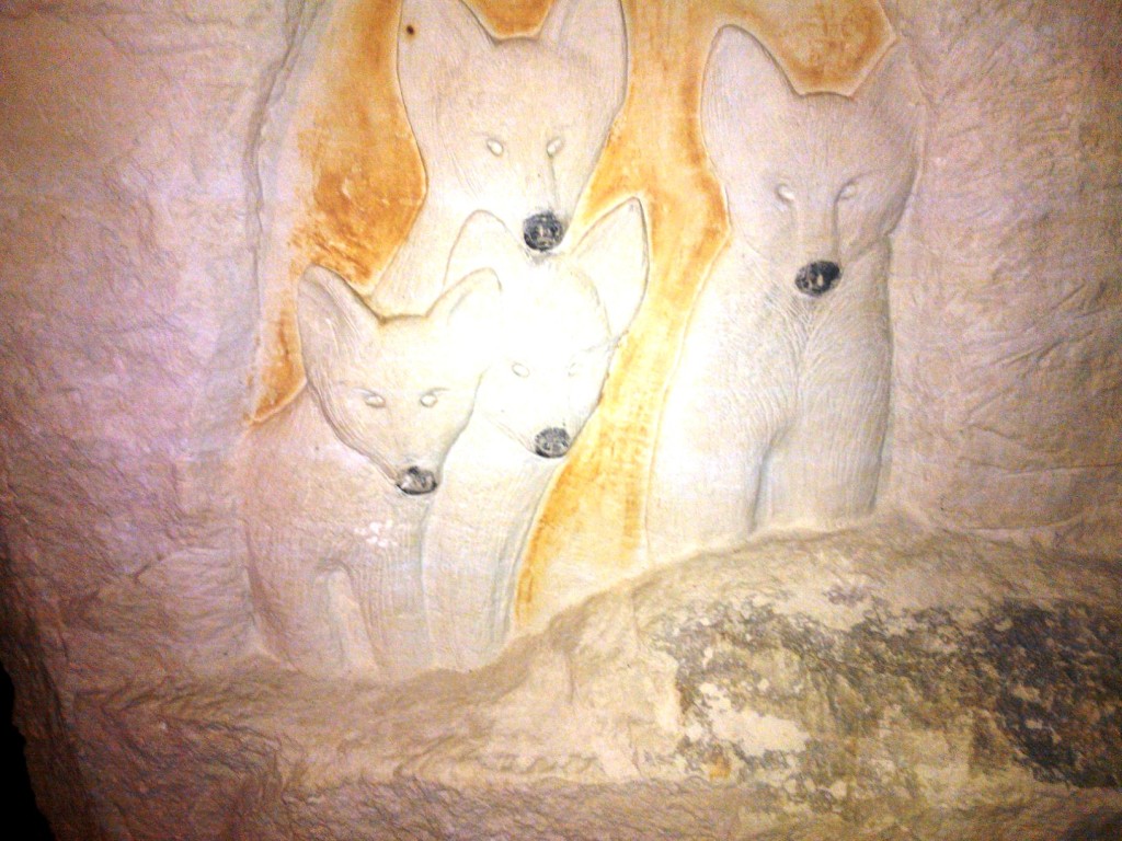 la champignonniere 2.jpg