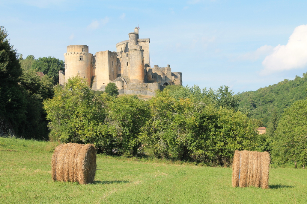 IMG_3880 Chateau de Bonaguil (47).JPG