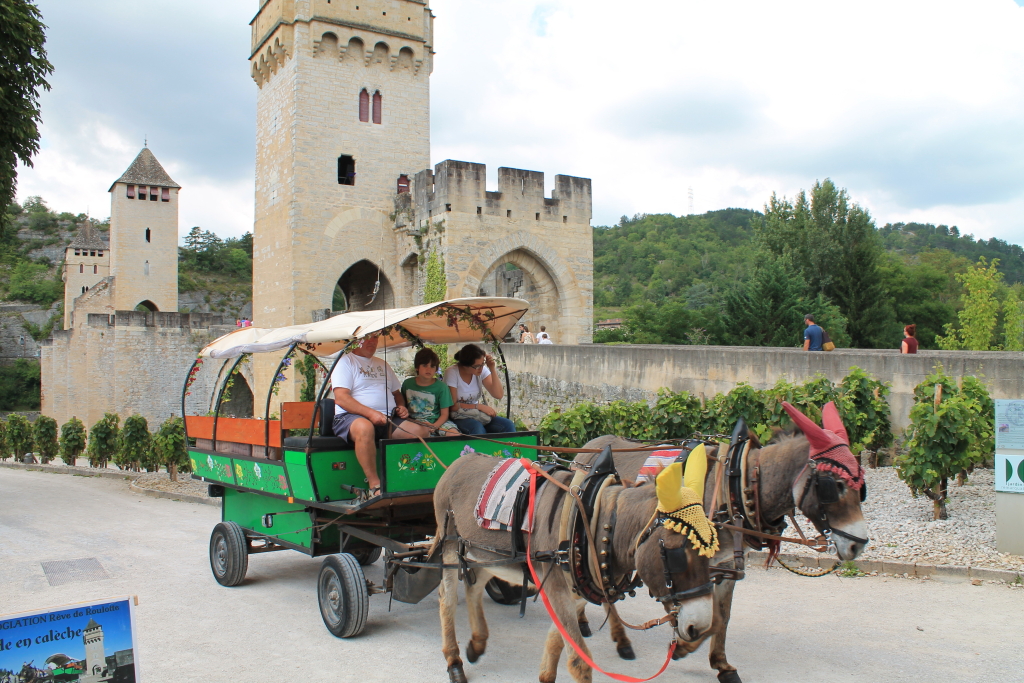 IMG_3971 Cahors le pont valentré (46).JPG
