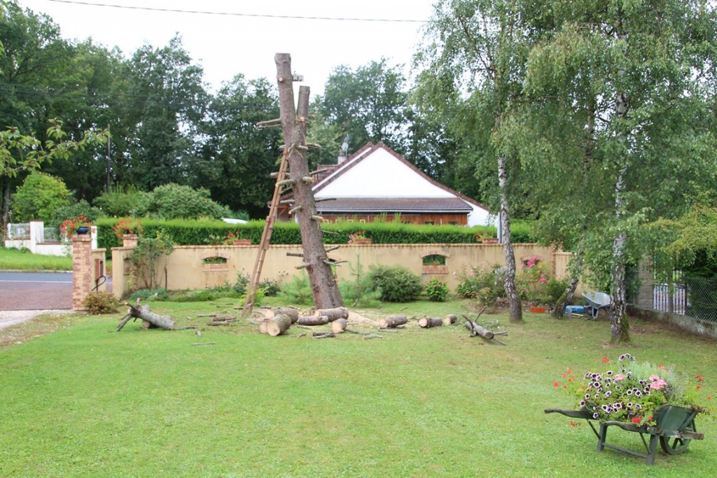 trophéedor14binbin 012 (Copier).JPG