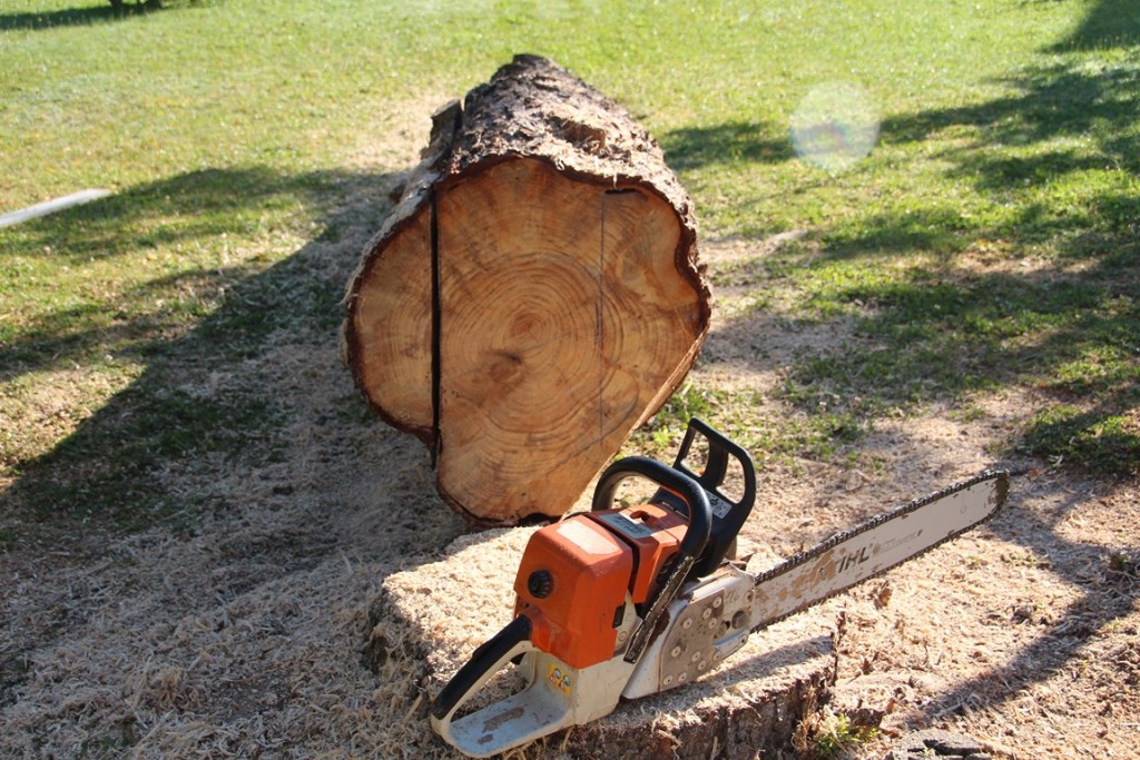 pin 080 (Copier).JPG