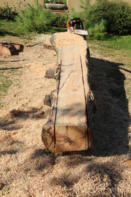 pin 089 (Copier).JPG