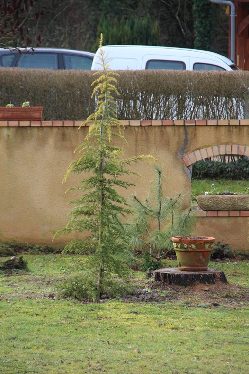 758810268 (Copier).JPG