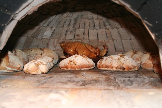 Noel 2009 010red.jpg