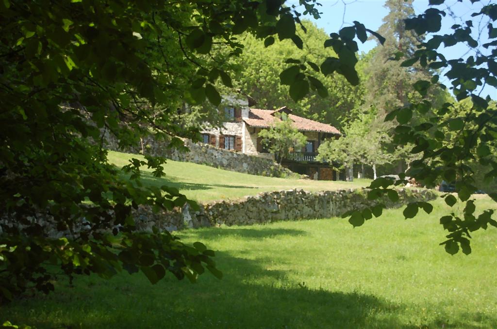 La minerve 288 (86) (Large).jpg