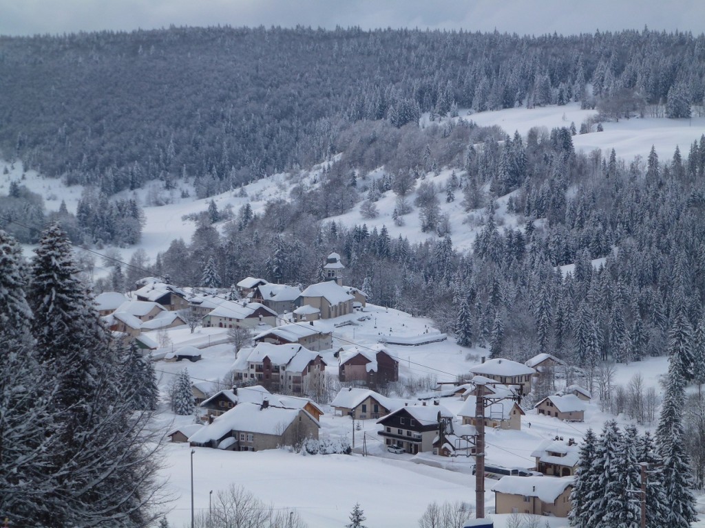 P1030696.JPG