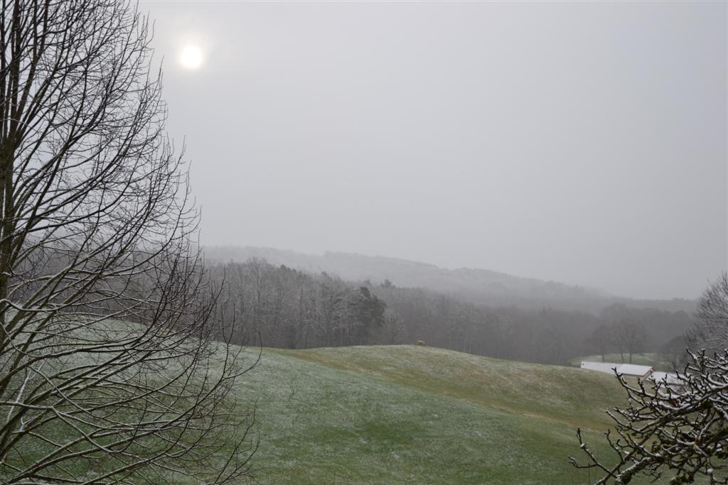 Printemps La Minerve 001 (Large).jpg