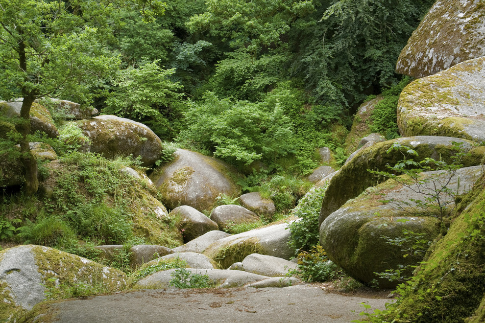 Bretagne25.jpg
