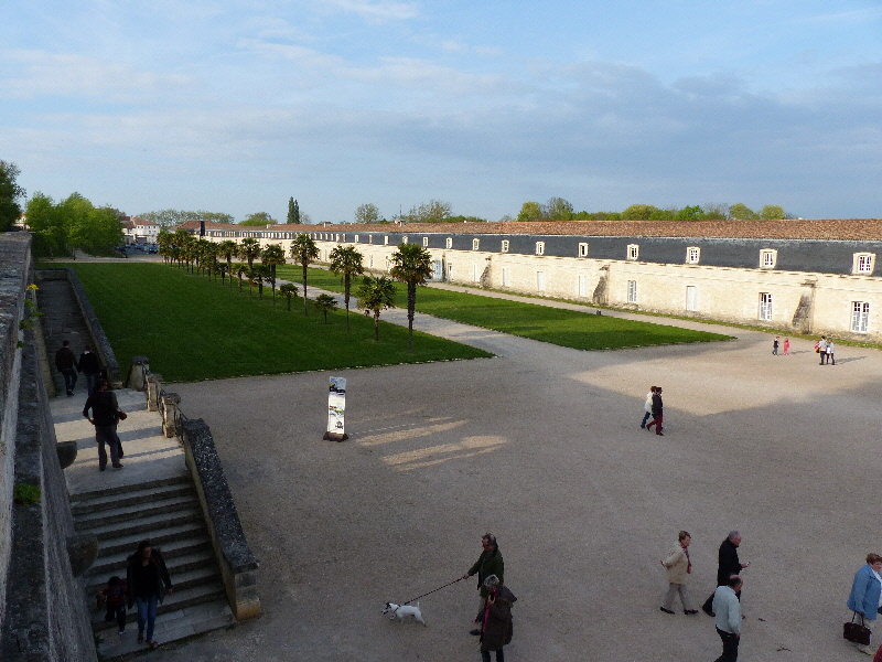 P1040323(2).JPG
