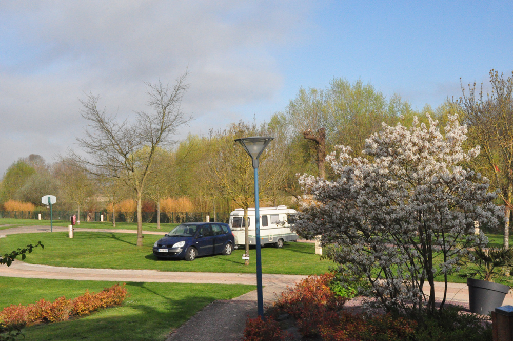 DSC_0274.JPG
