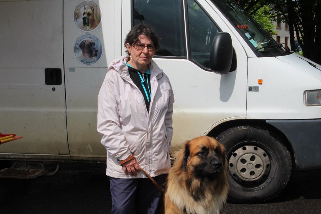 sculptures 024 (Copier).JPG