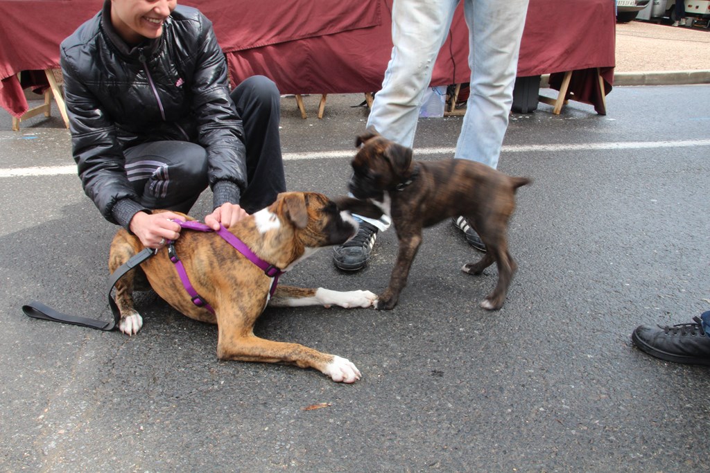 sculptures 052 (Copier).JPG