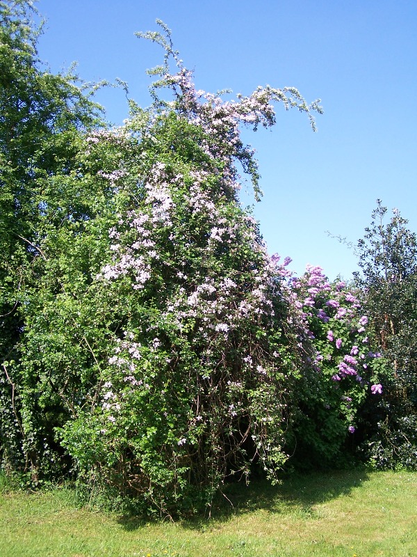 100_5019.JPG