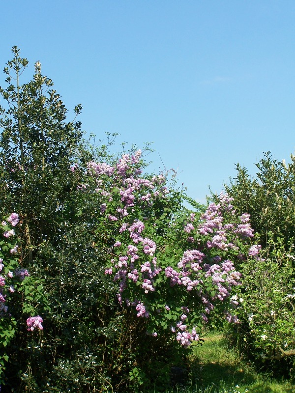 100_5021.JPG