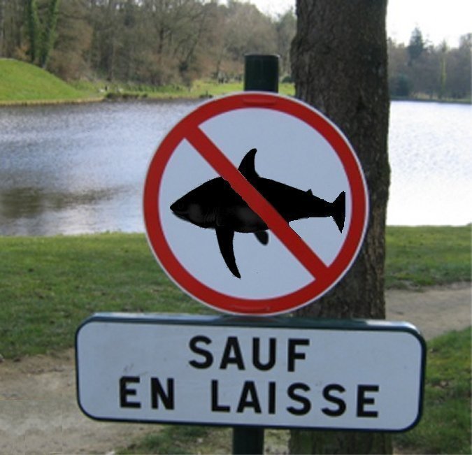 GUERE LES DENTS.jpg