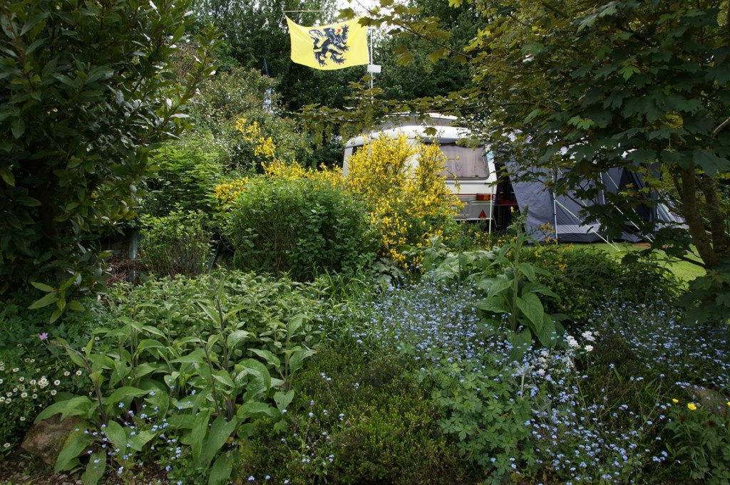 DSC04786 (Copier).JPG