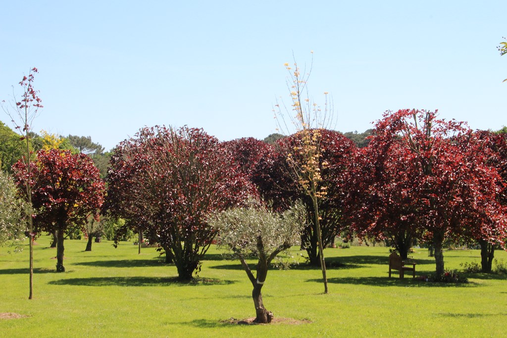 PlougoumelenGDM 090 (Copier).JPG