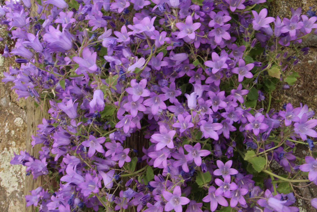 PlougoumelenGDM 109 (Copier).JPG