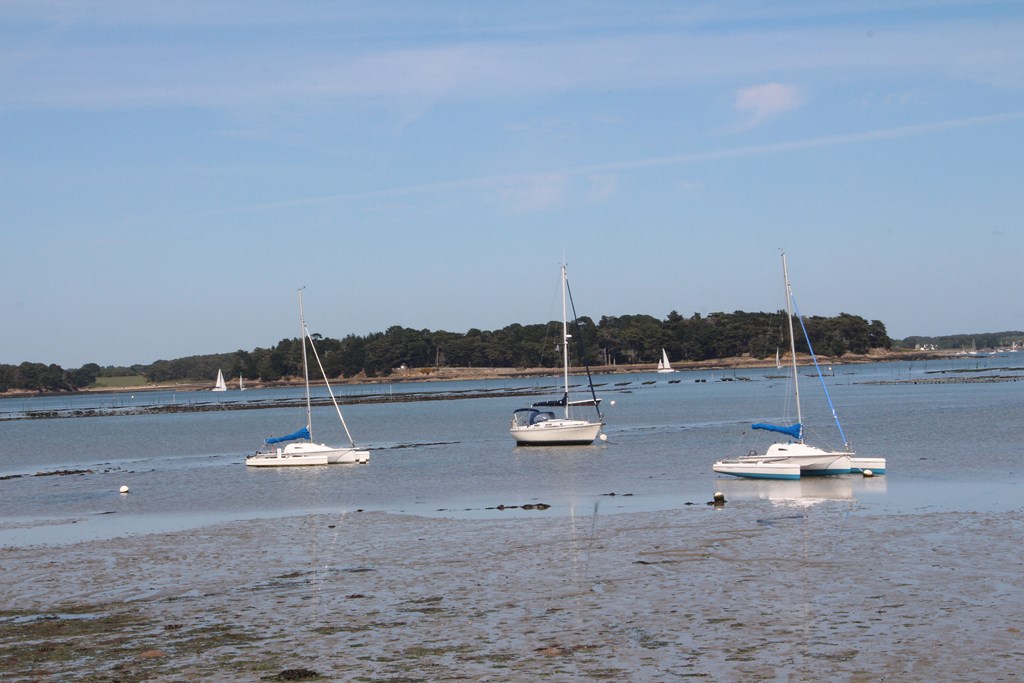 PlougoumelenGDM 111 (Copier).JPG