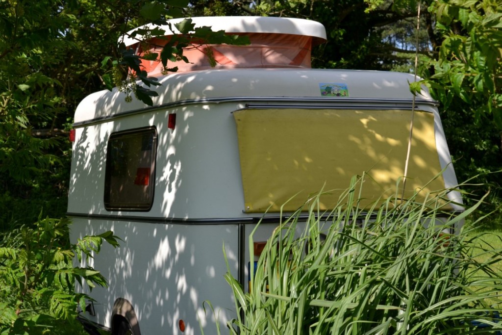 DSC_2393 (Large) (Medium).JPG