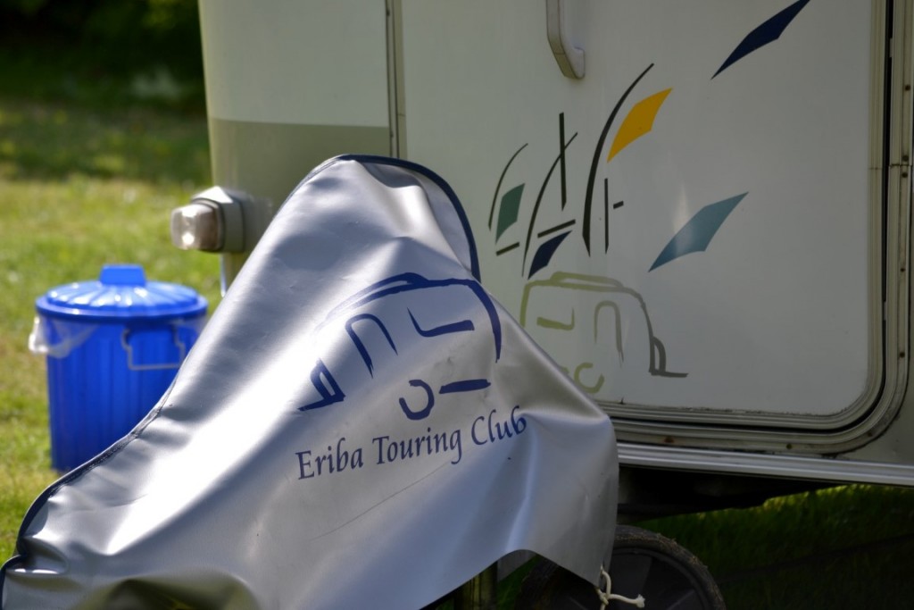 DSC_2395 (Large) (Medium).JPG