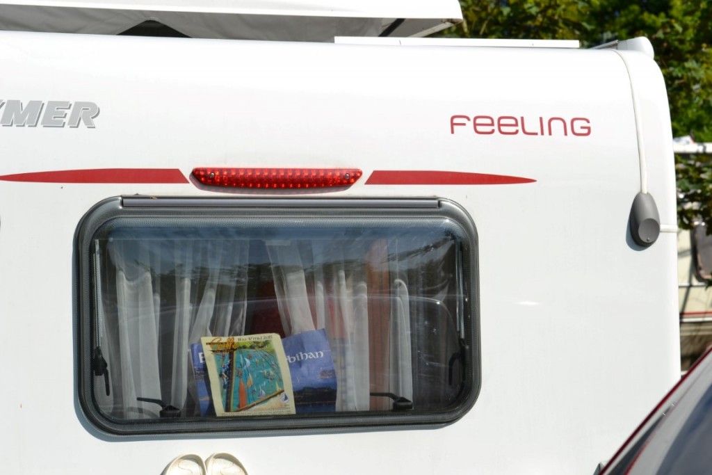 DSC_2409 (Large) (Medium).JPG