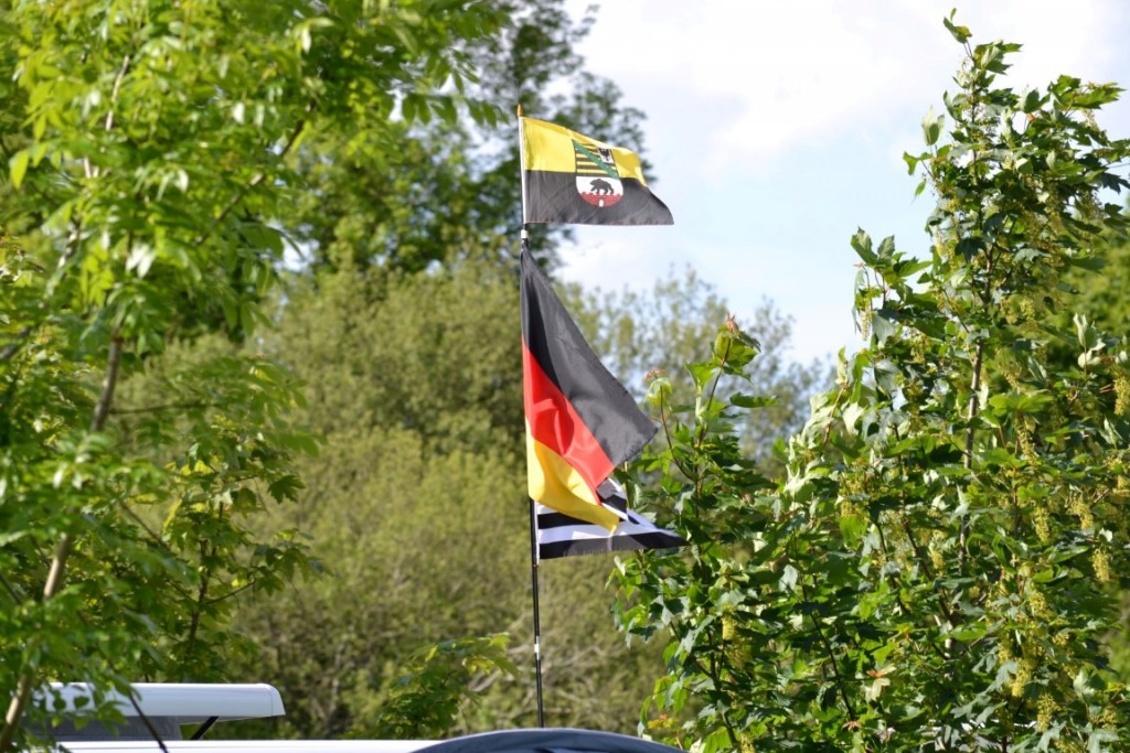 DSC_2410 (Large) (Medium).JPG