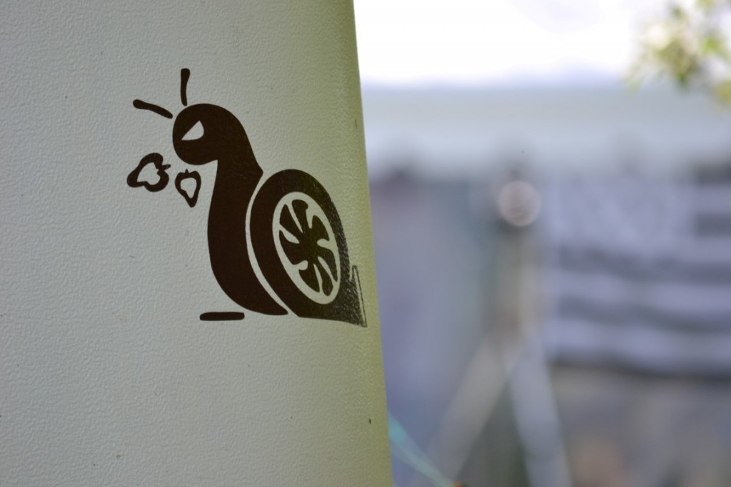 DSC_2412 (Large) (Medium).JPG