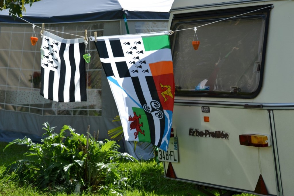 DSC_2417 (Large) (Medium).JPG