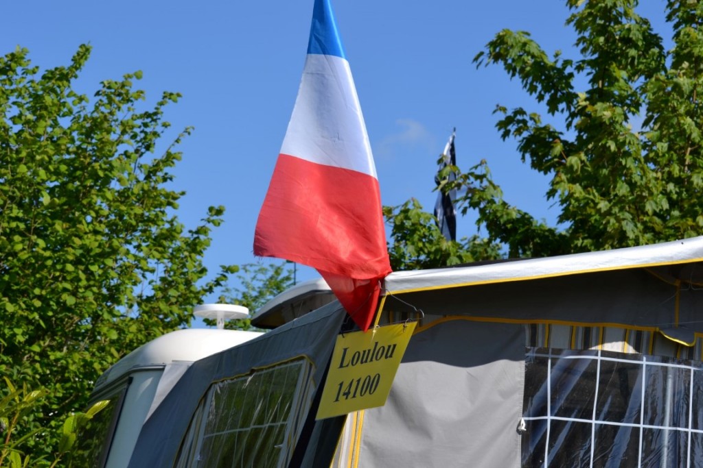 DSC_2419 (Large) (Medium).JPG