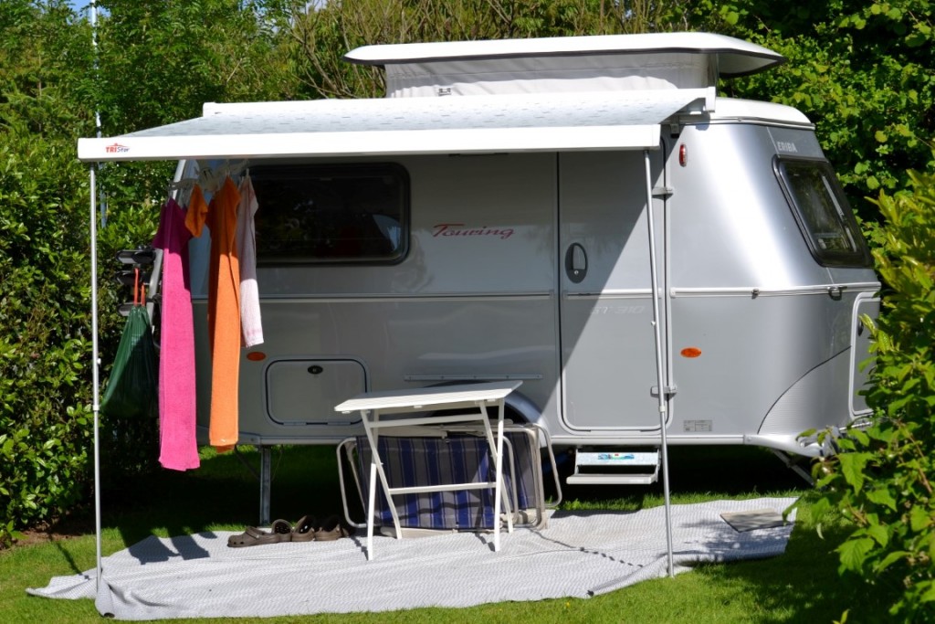 DSC_2420 (Large) (Medium).JPG