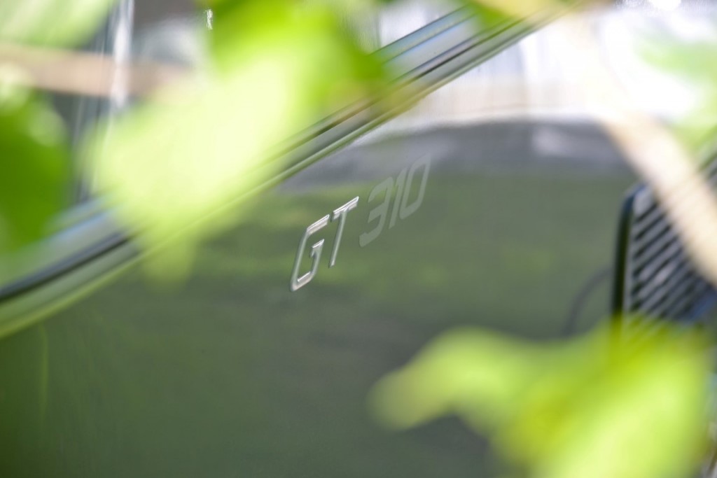 DSC_2424 (Large) (Medium).JPG