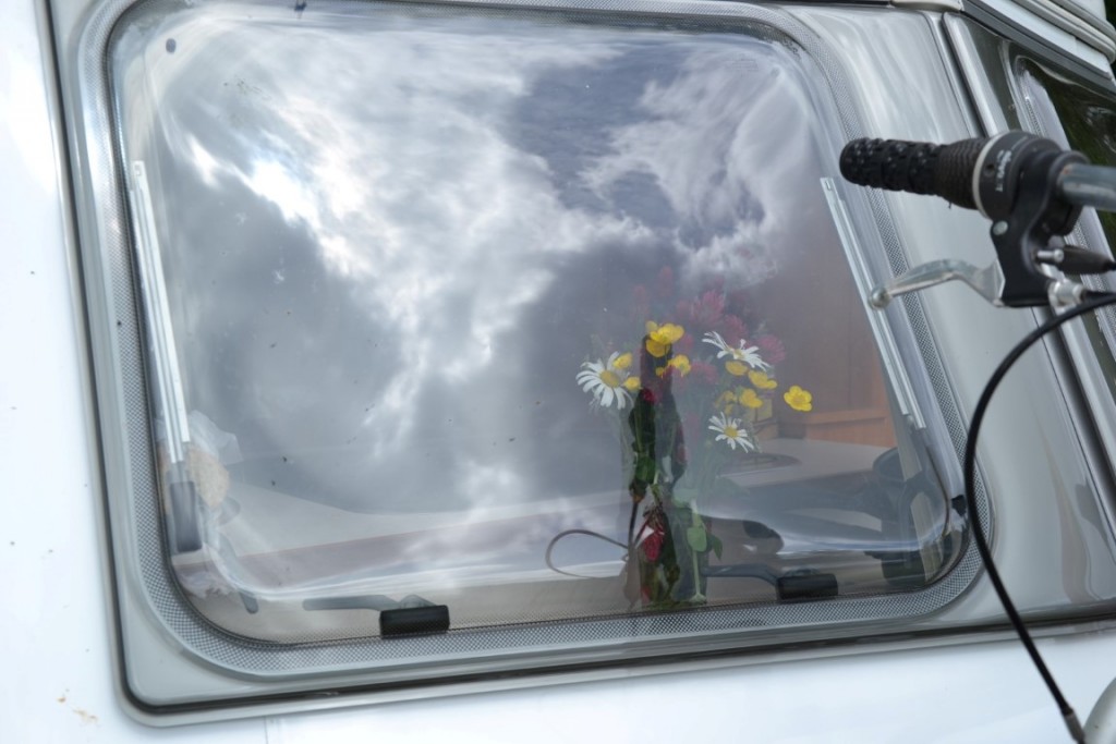 DSC_2187  (Large) (Medium).JPG