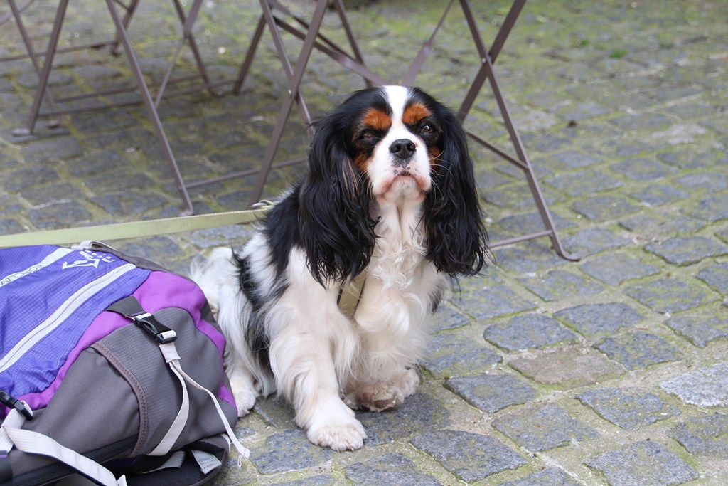 PlougoumelenGDM 358 (Copier).JPG