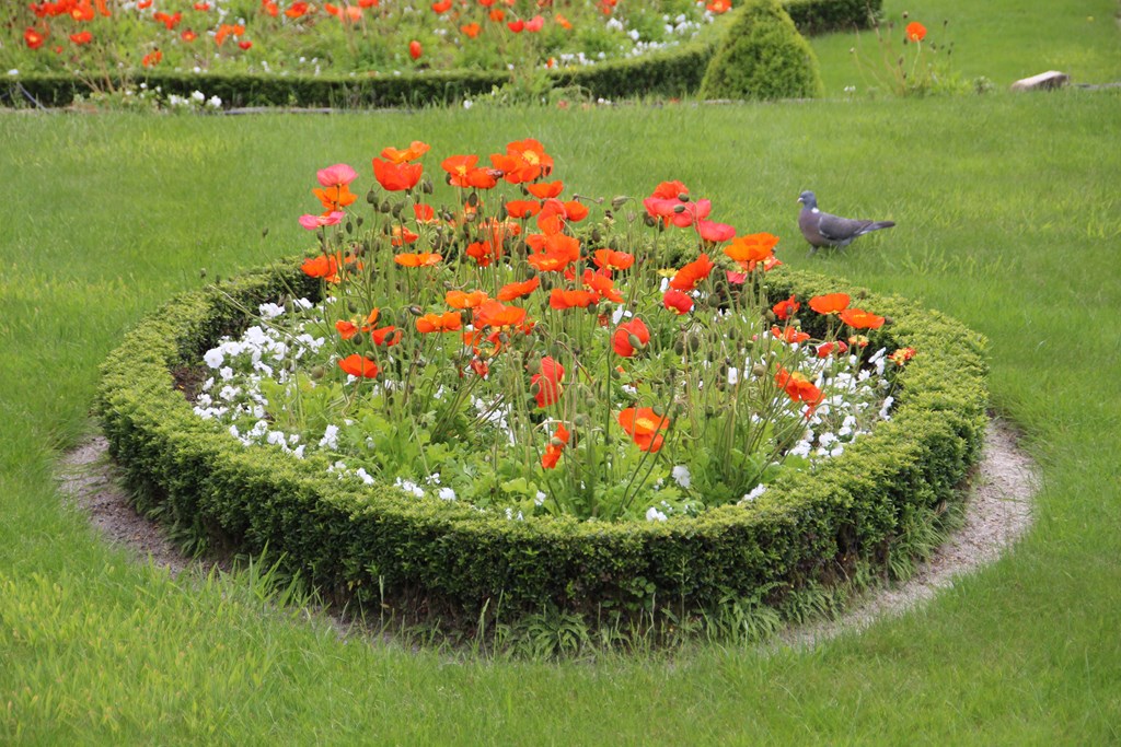 PlougoumelenGDM 400 (Copier).JPG