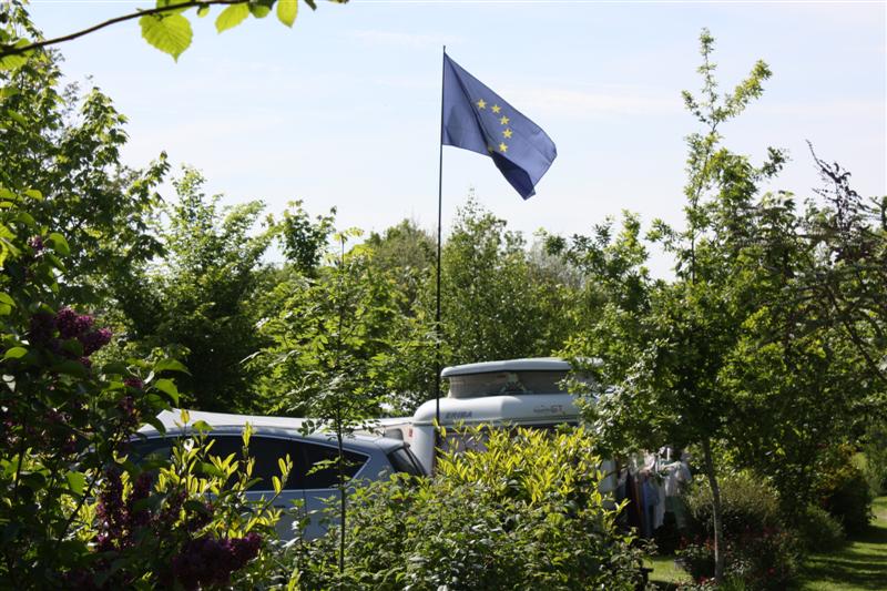 C-450D_0735 (Medium).JPG