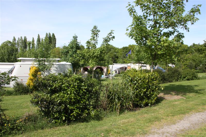 C-450D_0744 (Medium).JPG