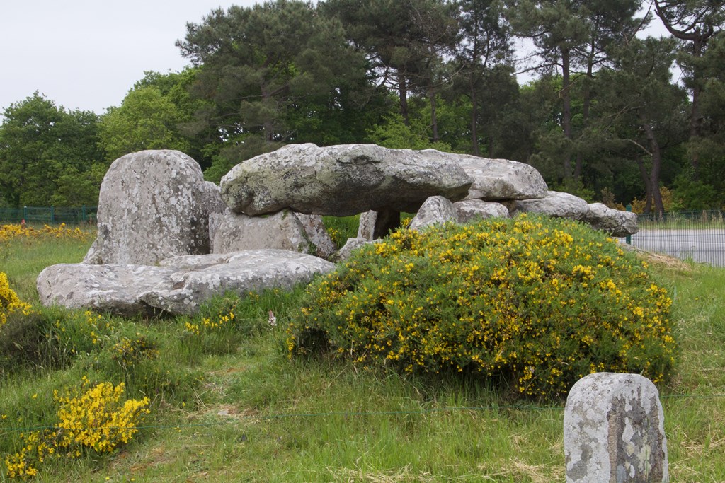 758810308 (Copier).jpg