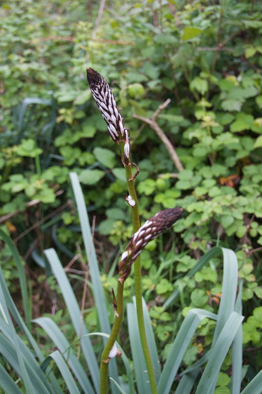 758810314 (Copier).jpg