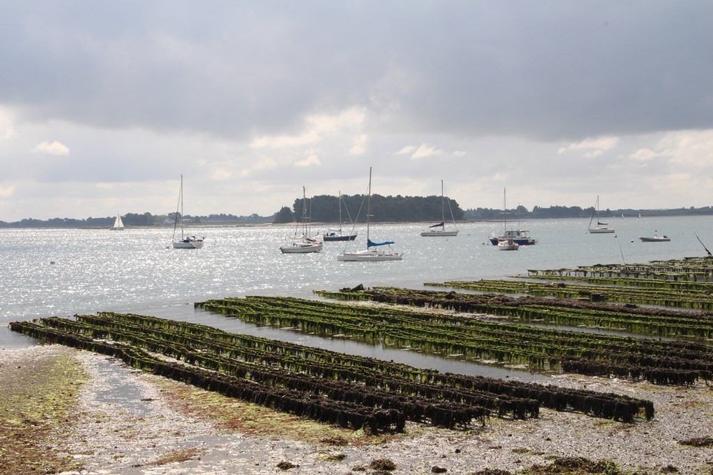 PlougoumelenGDM 687 (Copier).JPG