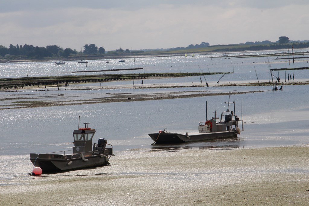 PlougoumelenGDM 693 (Copier).JPG