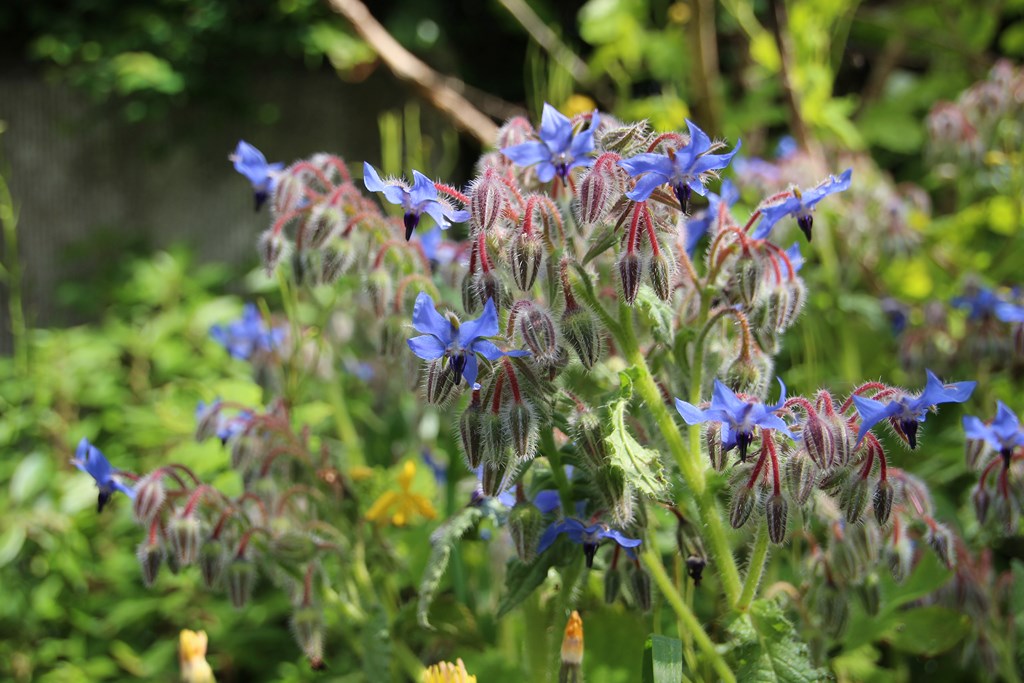 PlougoumelenGDM 699 (Copier).JPG